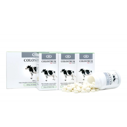 콜로스트럼 캔디 [초유] Colostrum Candy 80 IgG