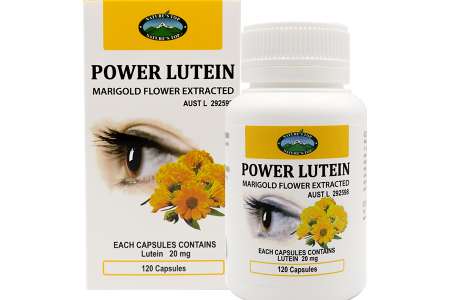 파워 루테인(메리골드 꽃 추출물)  POWER LUTEIN (Marigold Flower Extracted)