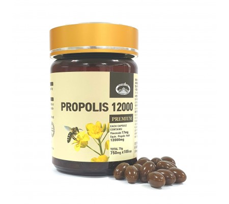 프로폴리스 12000  PROPOLIS CAPSULES 12000